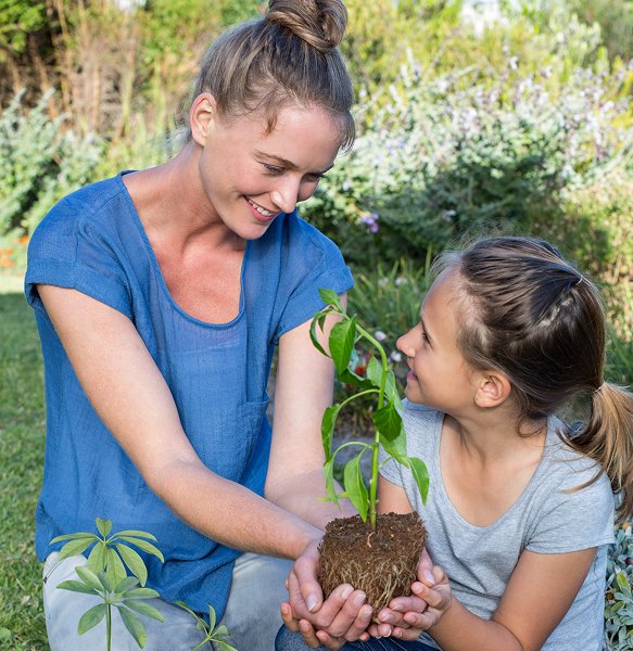 ALT: 강남 블랙홀 호빠 FAQ 홍보 이미지